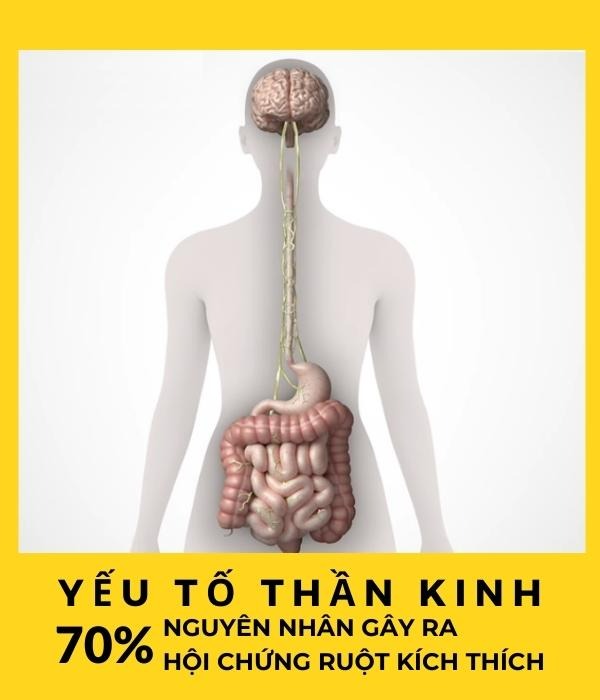 yeu-to-than-kinh.jpg